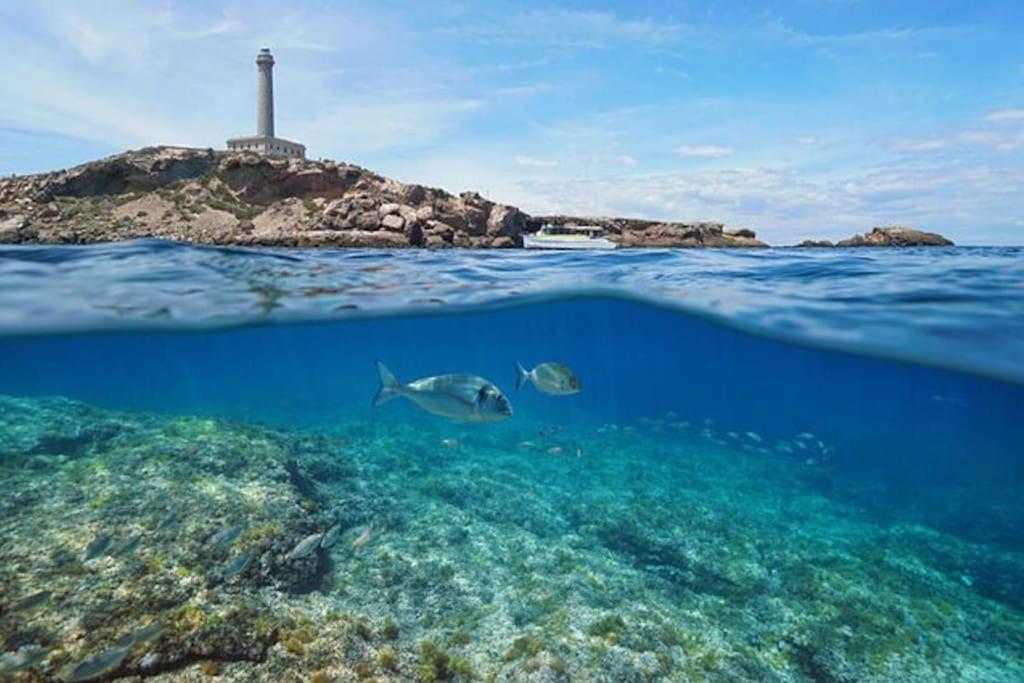 Apartamento Primera Linea La Manga المظهر الخارجي الصورة